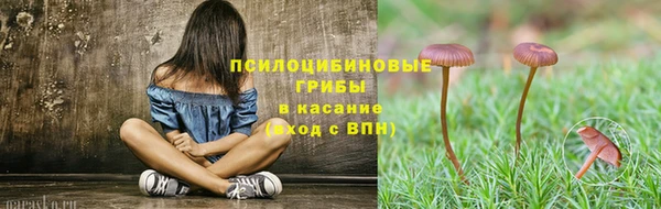герыч Магас